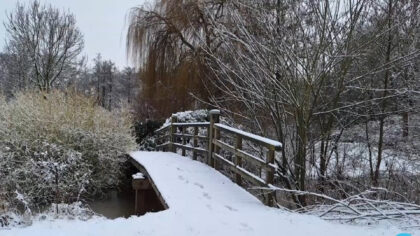 [VIDEO] Week uit de Streek: Winterweer en de nieuwe stadskunstenaar