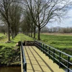 Groene Punt
