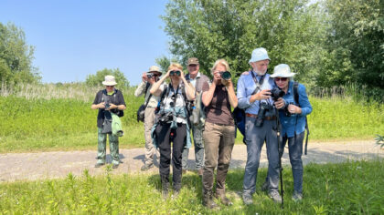 IVN Helmond staat stil bij Nationale Vogelweek met avondwandeling
