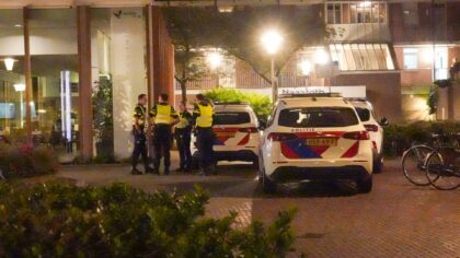 [UPDATE] Vrouw (55) opgepakt na steekpartij in Ameidepark