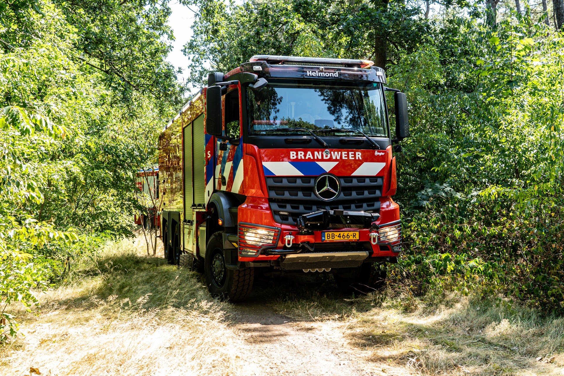 Brand