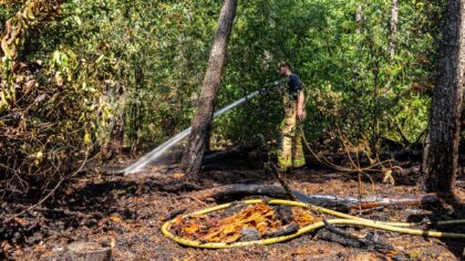 Kleine bosbrand in Bakelsbos snel onder controle, nieuw blusvoertuig maakt eerste inzet