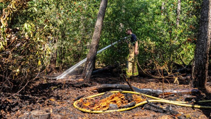 Kleine bosbrand in Bakelsbos snel onder controle, nieuw blusvoertuig maakt eerste inzet