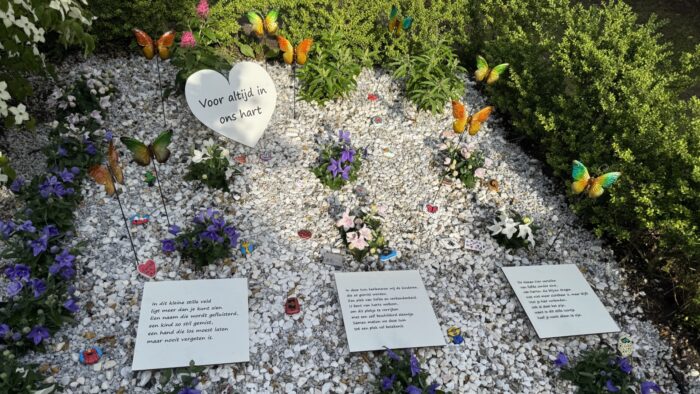 Wereldlichtjesdag Helmond opent herdenkingstuin om overleden kinderen te herinneren: ‘Je bent niet alleen in het gemis’