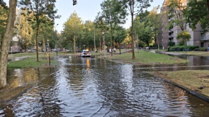 [VIDEO] Gesprongen waterleiding zorgt voor waterpret in Helmond-Noord