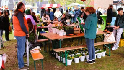 [FOTO’S] Afsluiting van Groene Wijk Week met het Groene Buurtfeest in Helmond-Noord