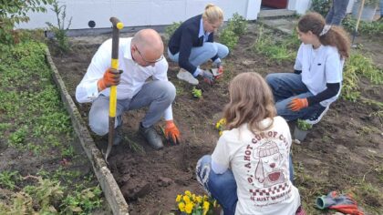 Groene brigade vervangt tegels door planten in Helmond-Noord